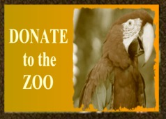 peoria zoo joined zoological playhouse forces junior society league museum build children