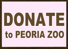 Donate to zoo giraffe