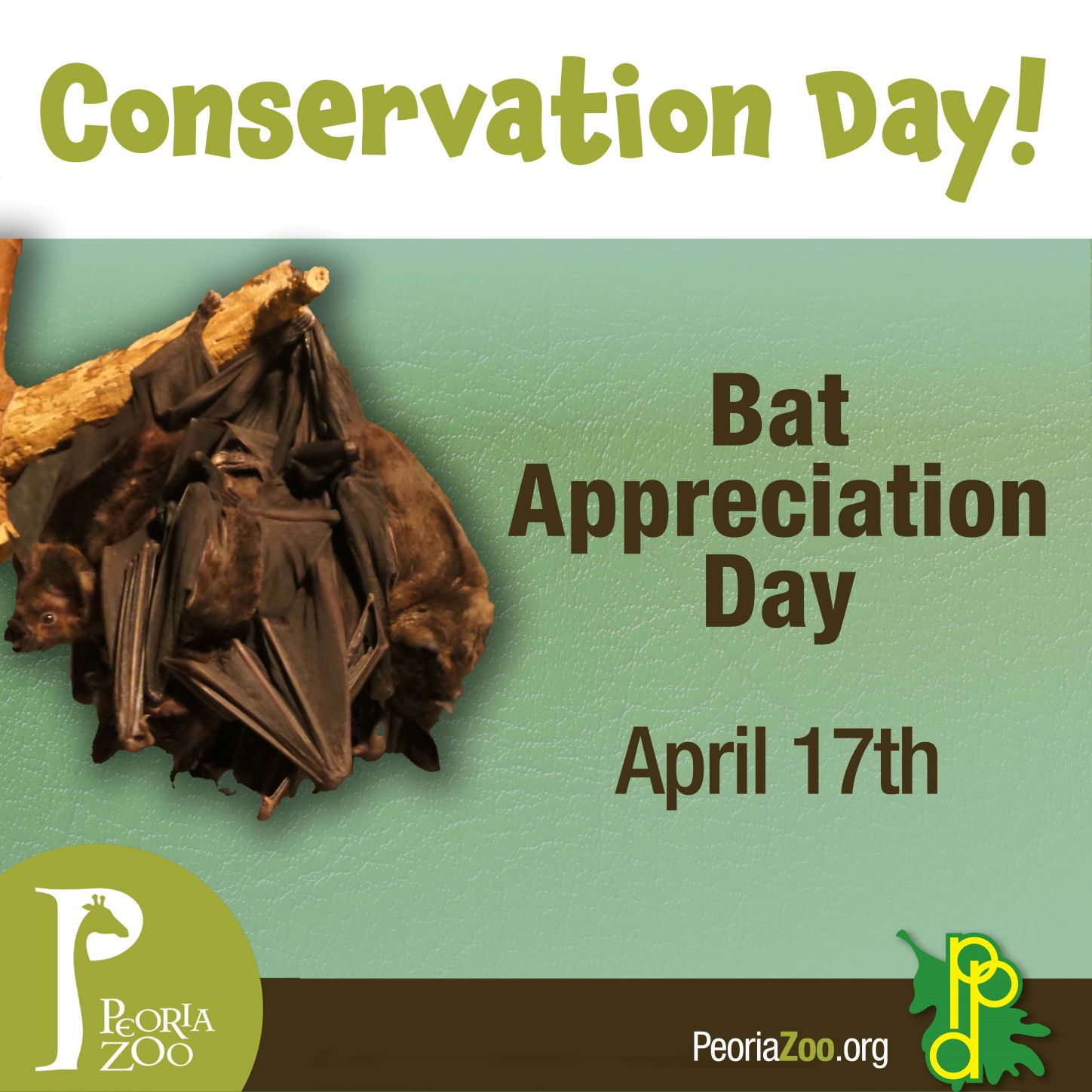 Peoria Zoo Bat Appreciation Day Peoria Zoo