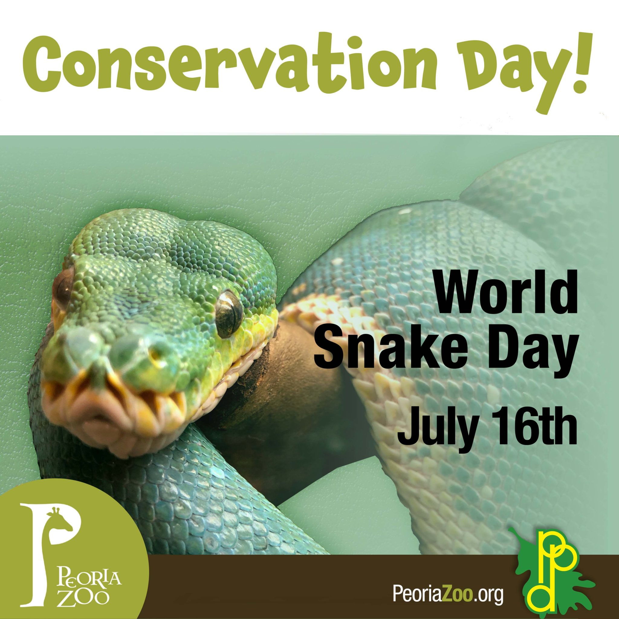 Peoria Zoo World Snake Day Peoria Zoo