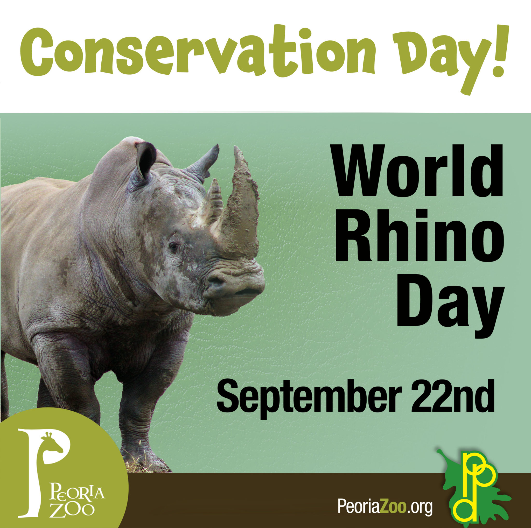 Peoria Zoo World Rhino Day Peoria Zoo