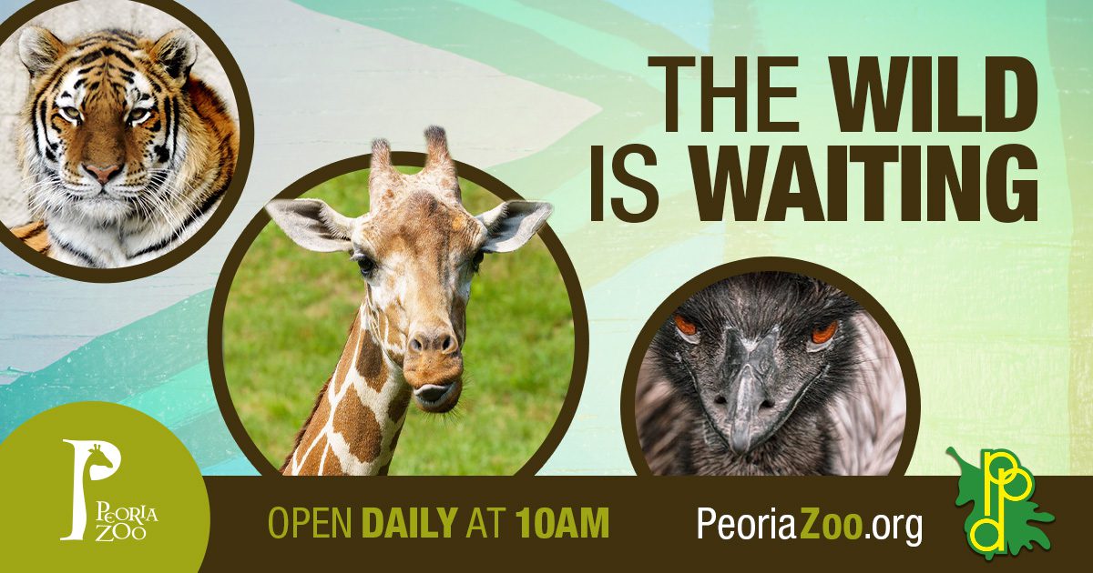 peoria zoo events