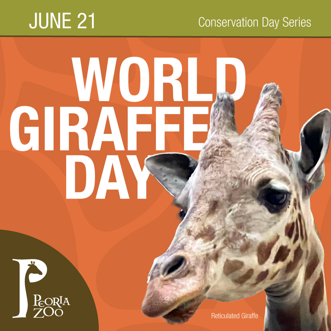 World Giraffe Day