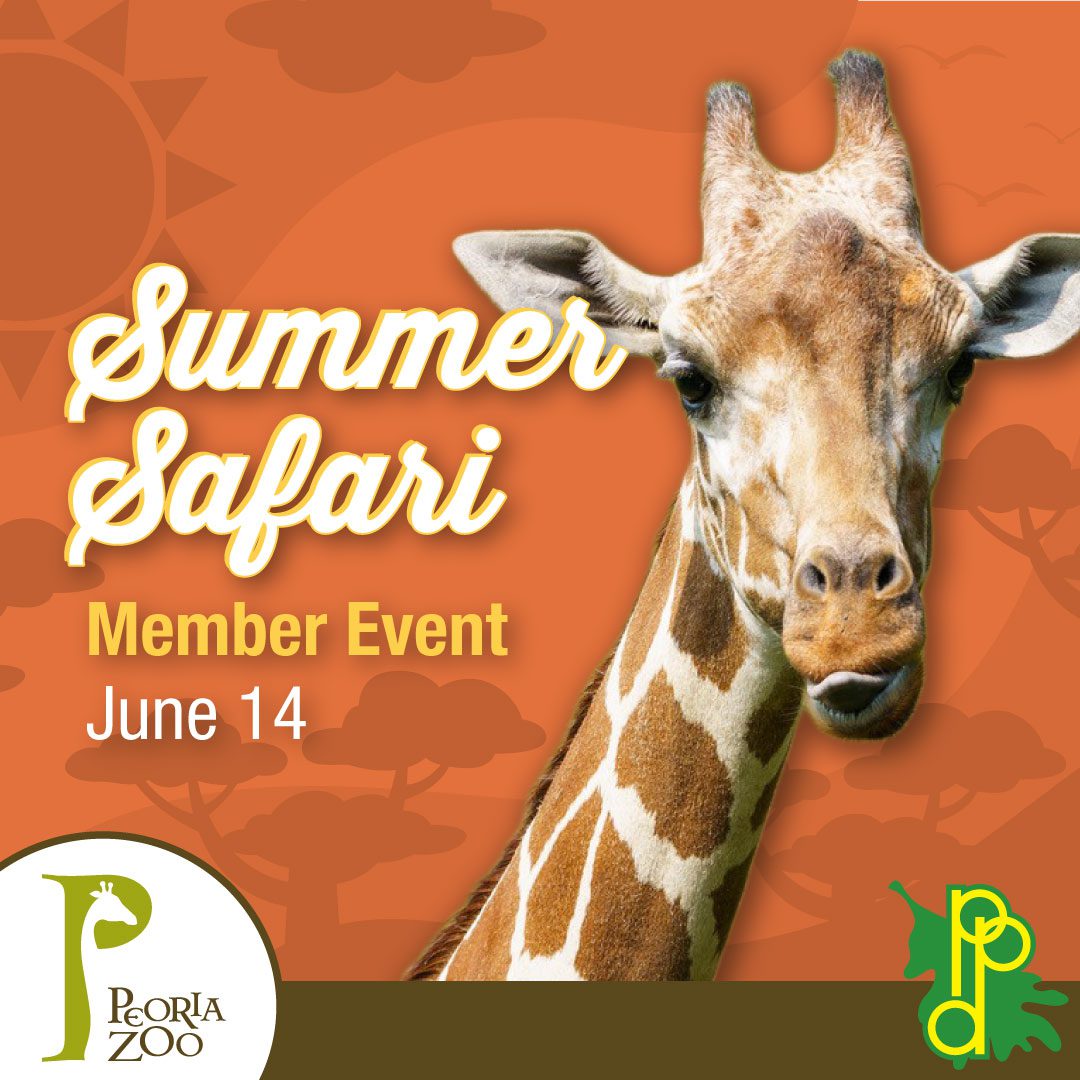 Summer Safari Member Event