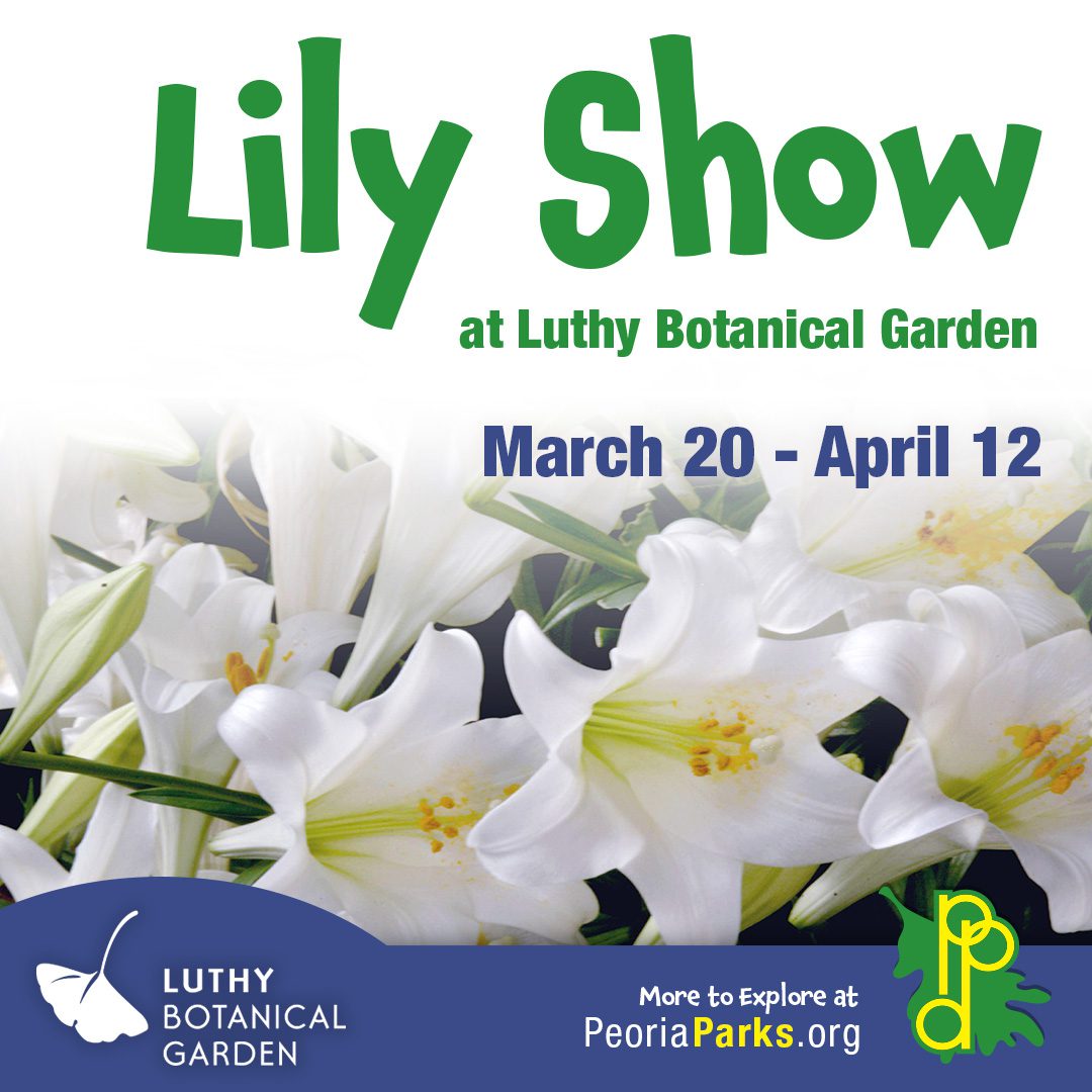 “Lilies with the Lorax” Floral Show