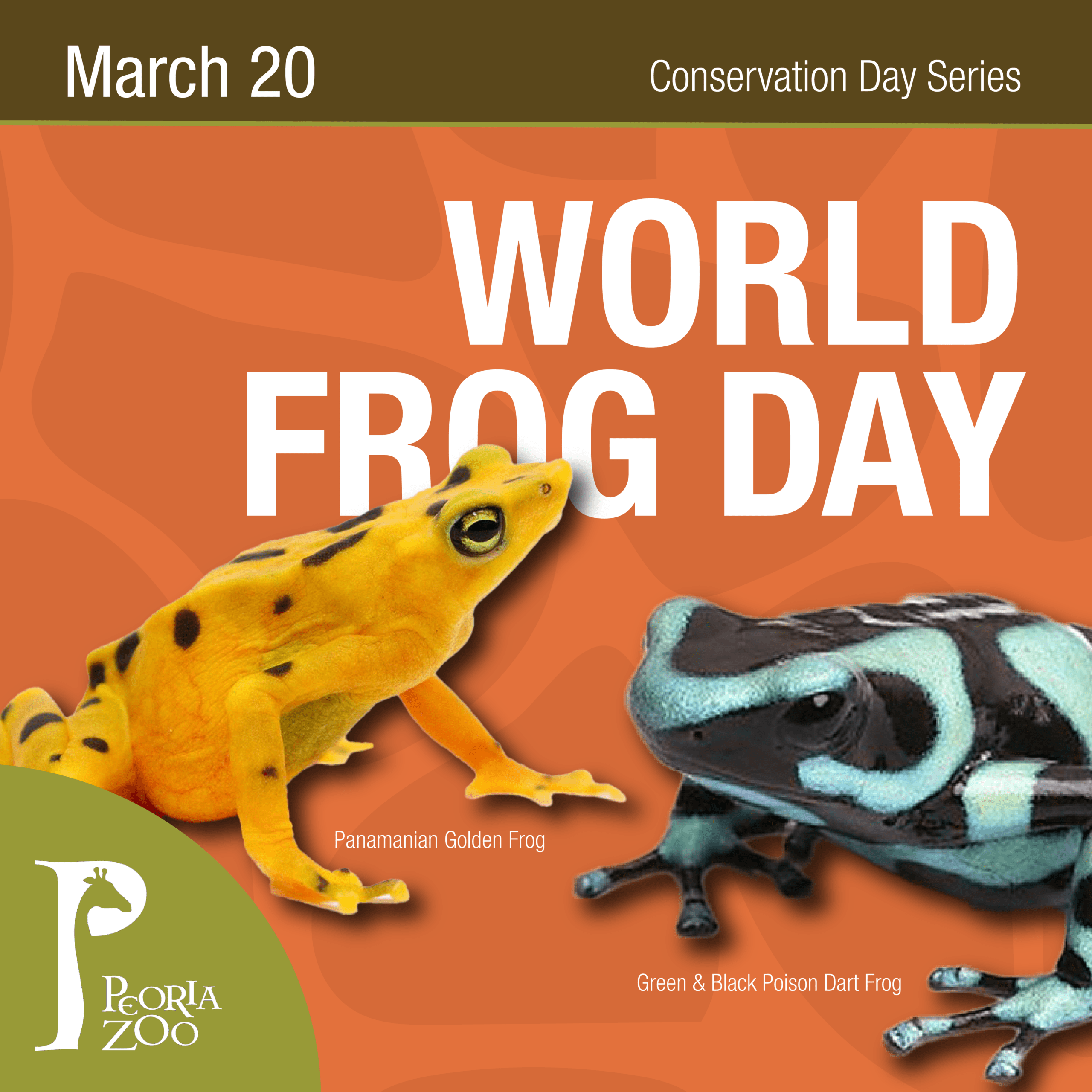 World Frog Day