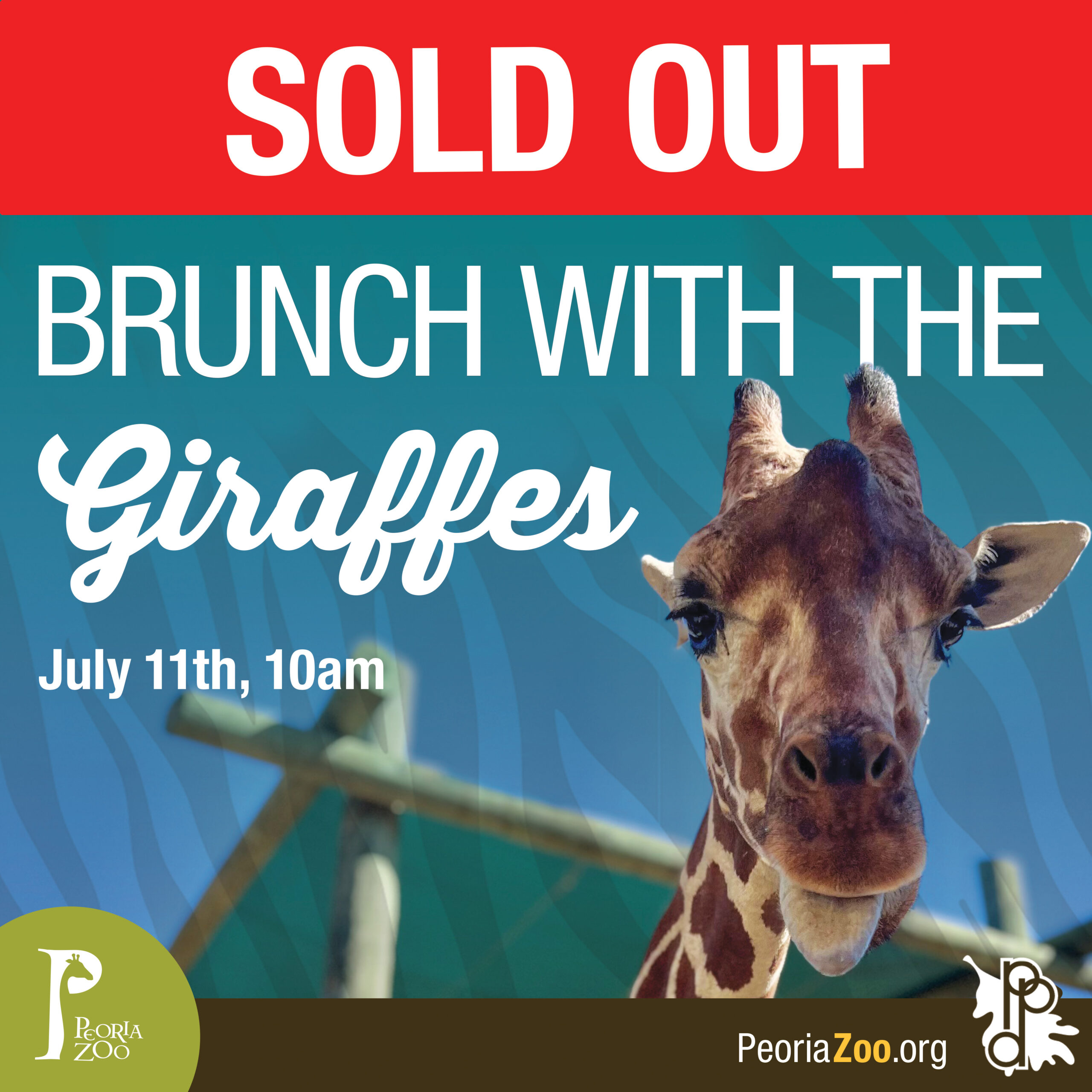 Brunch with the Giraffes